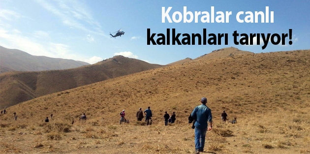 Kobralar canlı kalkanları tarıyor!