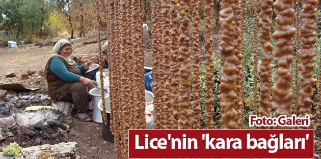 Lice'nin 'kara bağları'