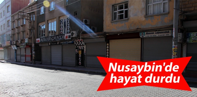 Nusaybin'de hayat durdu