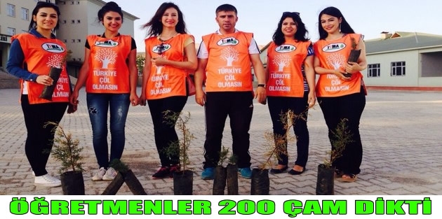 Öğretmenler  200 Çam Dikti