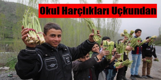 Okul Harçlıkları Uçkundan