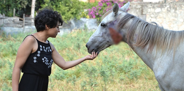 Ölüme terk edilen yaralı ata hayvanseverler sahip çıktı