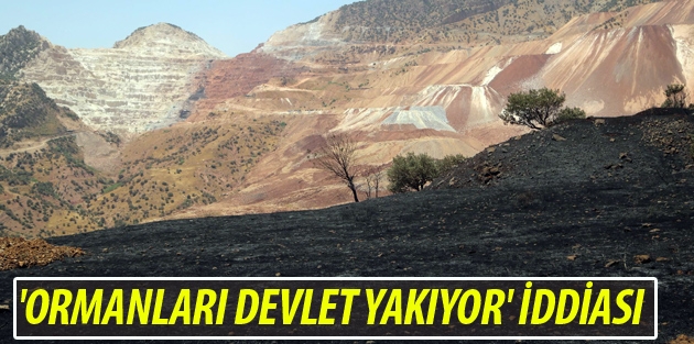 'Ormanları devlet yakıyor' iddiası