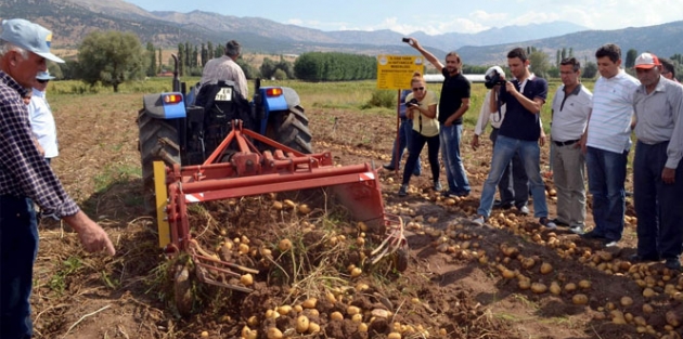 Patates üretimi 1 milyon tona ulaştı!