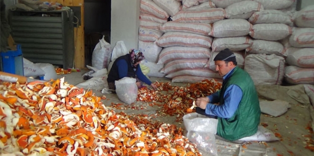 Portakal kabuğu ekmek kapısı oldu