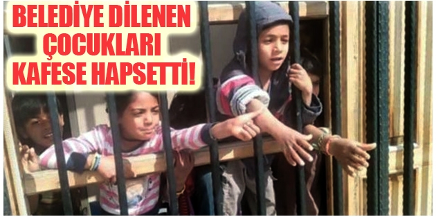 Şanlıurfa Belediyesi, dilenen çocukları toplayıp kafese hapsetti!