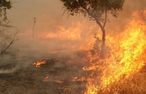 Şemdinli'de bombardıman sonucu çıkan yangın büyüyor