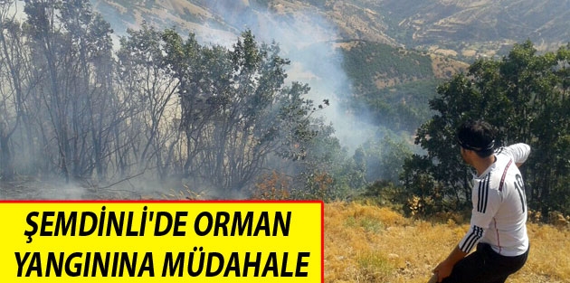 Şemdinli'de orman yangınına müdahale