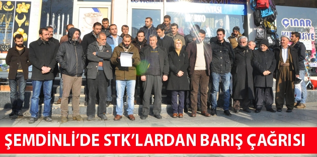 Şemdinli’de STK’lardan Barış Çağrısı