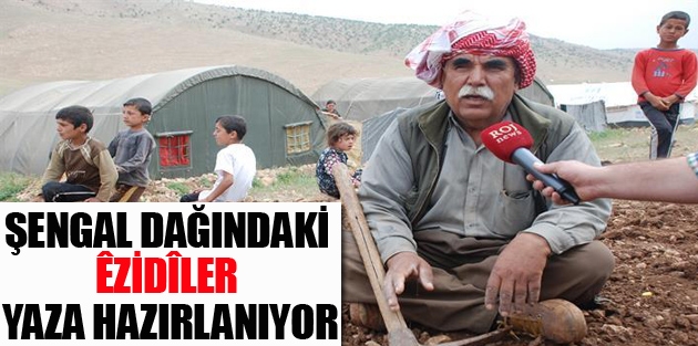 Şengal dağındaki Êzidîler yaza hazırlanıyor 