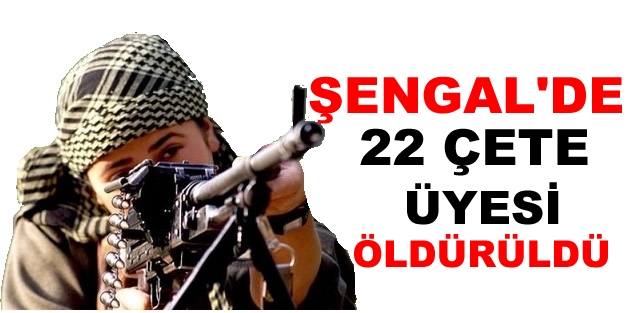 Şengal'de 22 çete üyesi öldürüldü