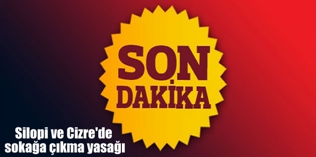 Silopi ve Cizre'de sokağa çıkma yasağı