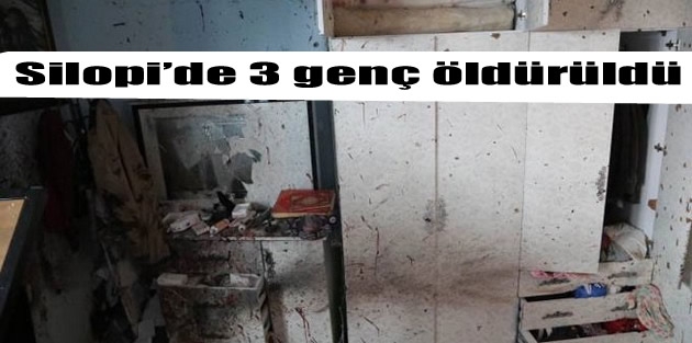 Silopi’de 3 genç öldürüldü