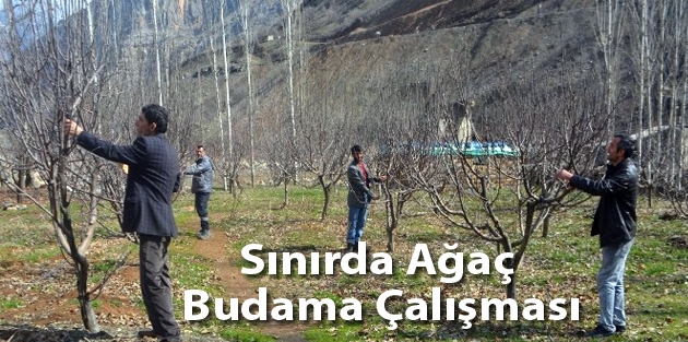 Sınırda Ağaç Budama Çalışması