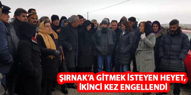 Şırnak’a gitmek isteyen heyet, ikinci kez engellendi