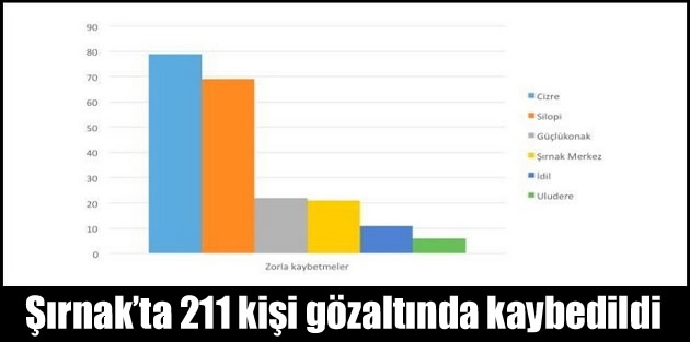 Şırnak’ta 211 kişi gözaltında kaybedildi