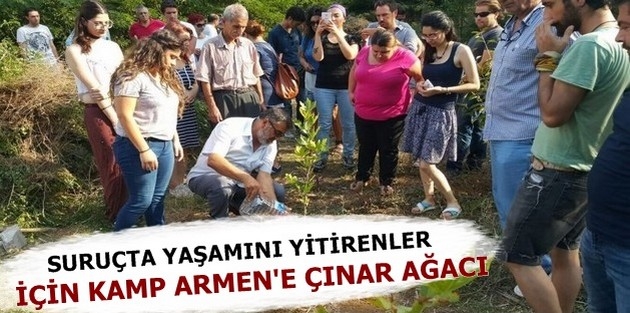 Suruç'ta yaşamını yitirenler için Kamp Armen'e çınar ağacı