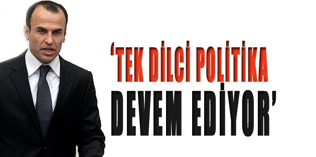 'Tek dilci politika devam ediyor'