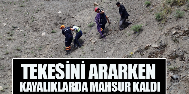 Tekesini ararken kayalıklarda mahsur kaldı