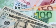 13 Kasım 2015 dolar ve euro ne kadar?