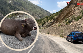 Hakkari-Yüksekova Karayolundaki 500 Metrelik Bir...