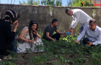 Müdür Yiğit, ilçedeki Sebze alanlarını inceledi