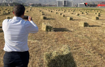 Yüksekova’da Yağışlar Tarımda Verimliliği...