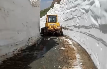 Yüksekova’da temmuz ayında İkiyaka dağlarında...