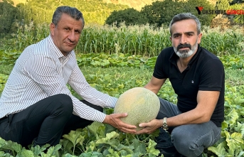 Yüksekova’da yetiştirilen kavunlar büyüklüğüyle...