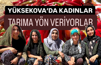 Yüksekova’da Kadınlar Tarıma Yön Veriyor: Kapya Biberde Bereketli Hasat Zamanı