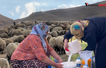 Yüksekova’da kış hazırlığı başladı: Vatandaşlar...