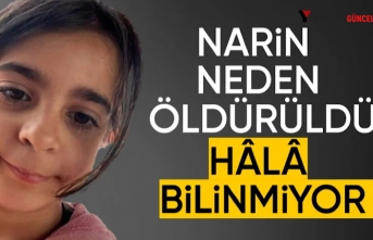 Gerekçeli karar bekleniyor! Narin neden öldürüldü?