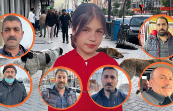 Vatandaşlar: “Başka canlar gitmeden, Yüksekova’daki sokak köpekleri topyekün toplatılmalı”