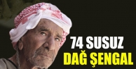 74 susuz dağ Şengal