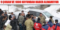 9 çoban ve 1800 koyundan haber alınamıyor