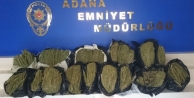 Adana'da Uyuşturucu Operasyonları