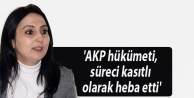 'AKP hükümeti, süreci kasıtlı olarak heba etti'