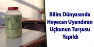 Bilim Dünyasında Heyecan Uyandıran Uçkunun Turşusu...