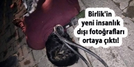 Birlik'in yeni insanlık dışı fotoğrafları ortaya...