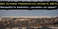 'Bu bahar Yüksekova’nın, Şırnak’ın, Nusaybin’in kadınları, çocukları ne yapar?'