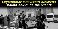 Ceylanpınar cinayetleri davasına bakan hakim de...