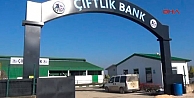 Çiftlik Bank soruşturmasında 4 kişi tutuklandı