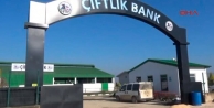 Çiftlik Bank'ın yöneticisi adliyeye sevk edildi