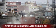 Cizre’de bir kadın vurularak öldürüldü