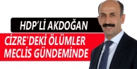 Cizre'deki ölümler meclis gündeminde