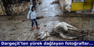 Dargeçit'ten yürek dağlayan fotoğraflar...