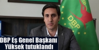 DBP Eş Genel Başkanı Yüksek tutuklandı