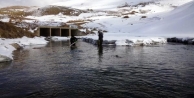 Dicle Nehri'nin en önemli kolu Çatak Çayı'nda...