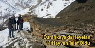 Durankaya'da Heyelan: 11 Hayvan Telef Oldu