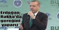 Erdoğan: Rakka'da gereğini yaparız